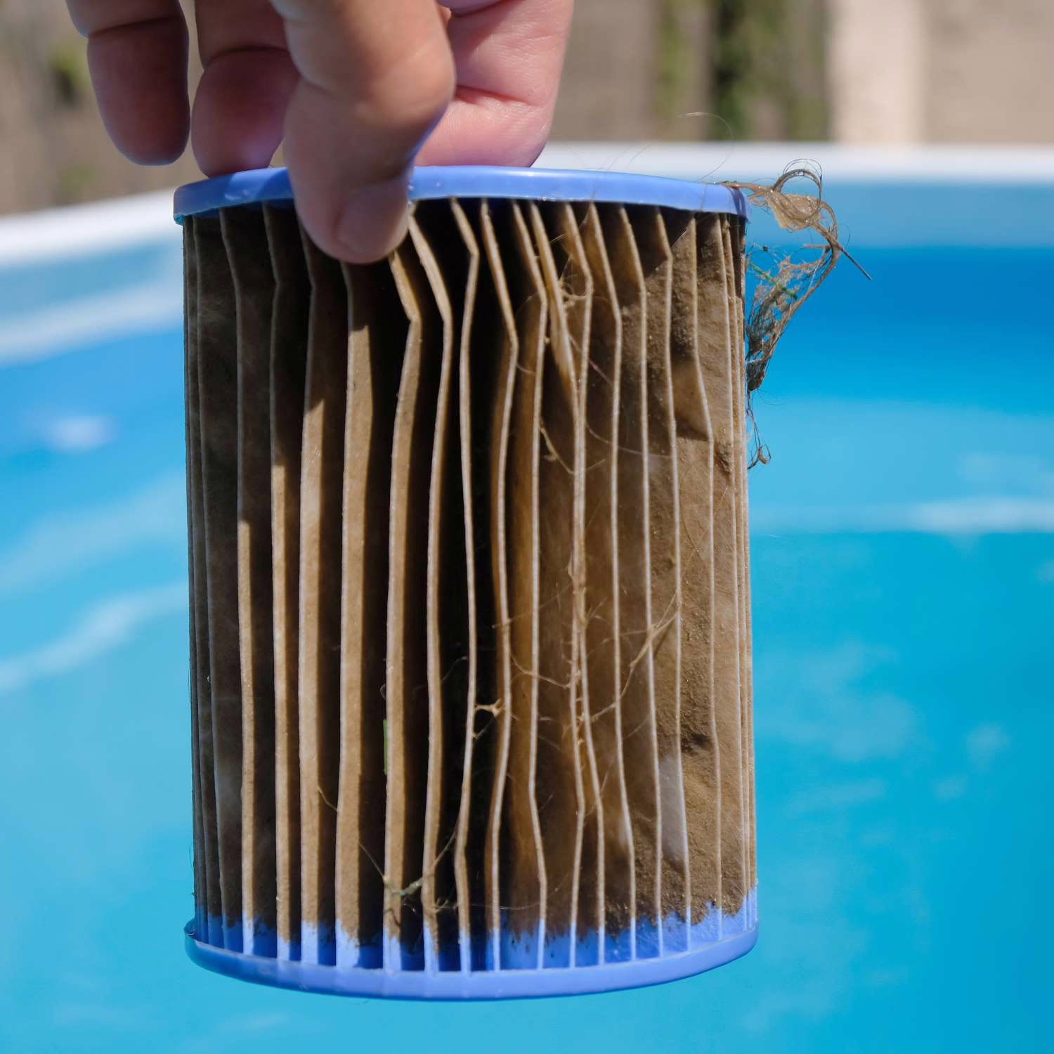 Hand holding dirty pool filter