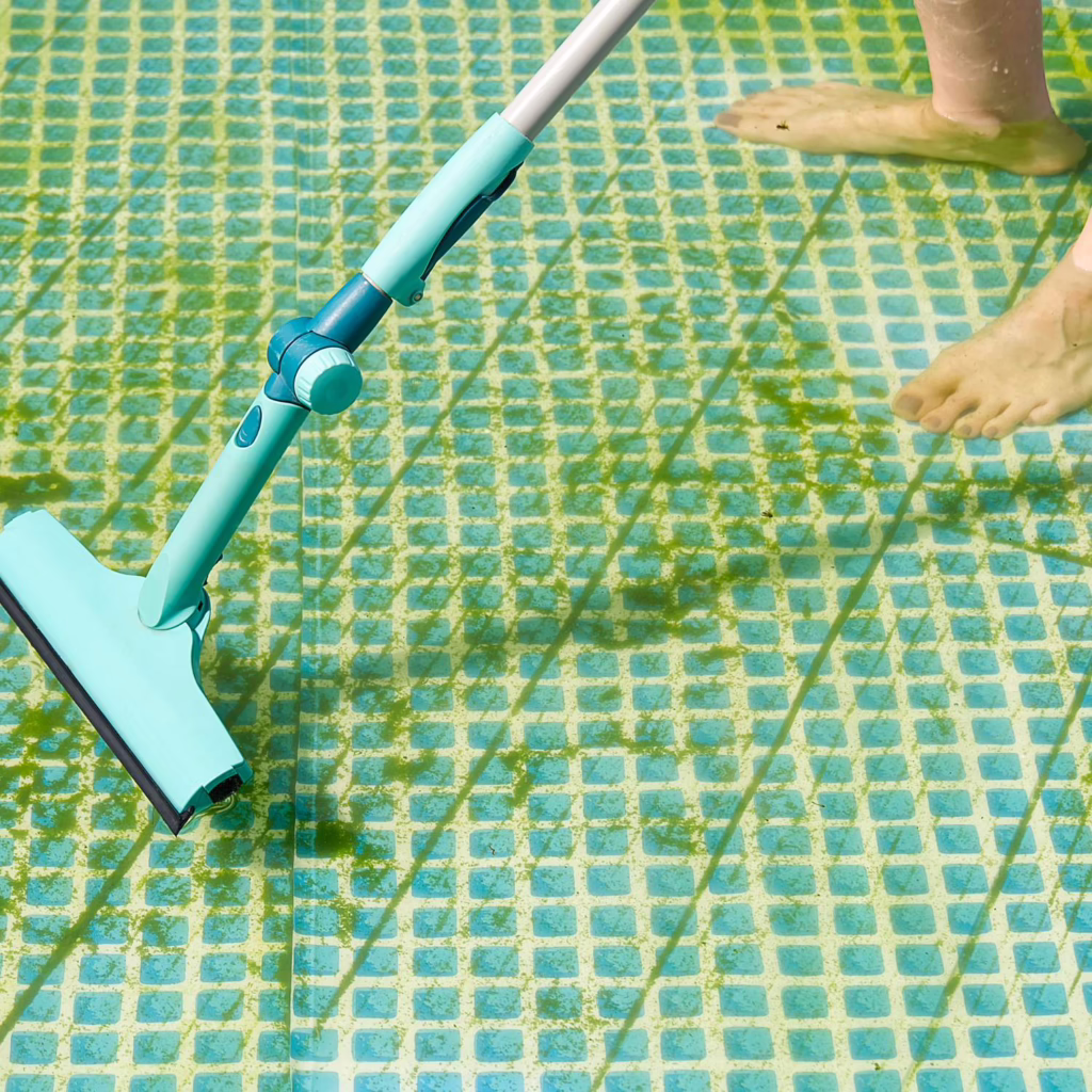a women cleaning algae tiles
